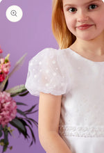 Load image into Gallery viewer, IVA By Peridot flock spot Girls First Holy Communion Dress