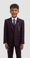 Load image into Gallery viewer, Cavani - Caridi wine 3 piece boys suit
